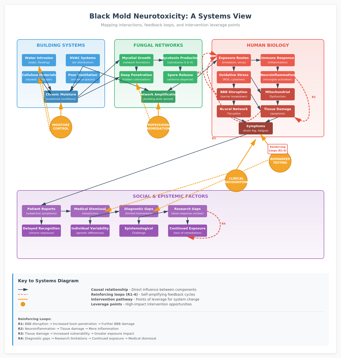 Black Mold Neurotoxicity: A Systems View. Diagram mapping interactions, feedback loops, and intervention leverage points across building systems, fungal networks, human biology, and social/epistemic factors.
